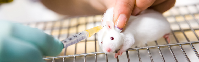 Animal testing in Asia – harmonised approach unlikely