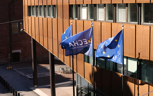 ECHA HQ flags © ECHA