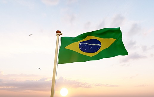 Flags - Brazil © adobedesigner @ stock.adobe.com