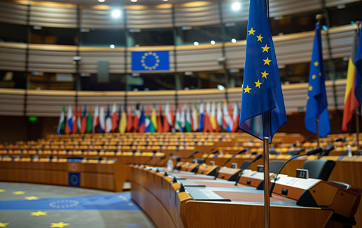 Government - European Parliament chamber and member state flags - © RetoricMedia stock.adobe.com (AI generated)