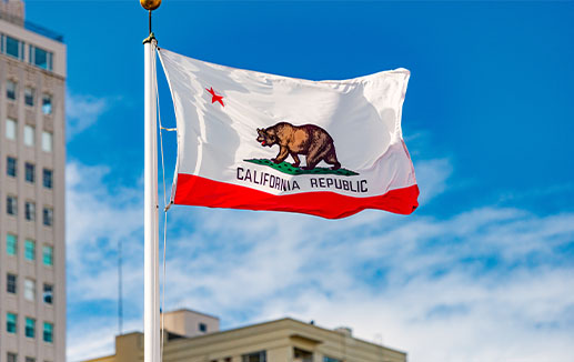 Place - California flag © Konstantin Yolshin stock.adobe.com