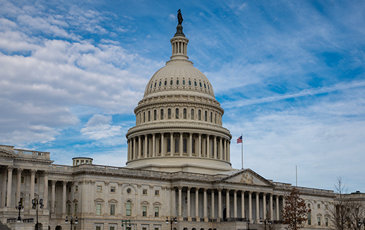 Places - Capitol dome © Volodymyr stock.adobe.com