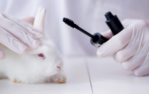Limited impact' expected from Taiwan cosmetics animal test ban