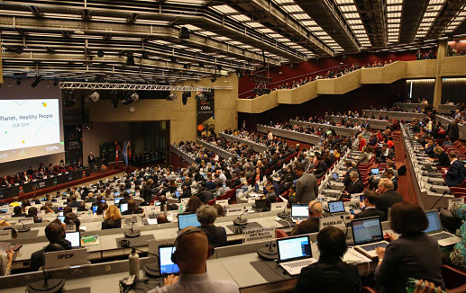 Organisation - BRS convention517 © IISD